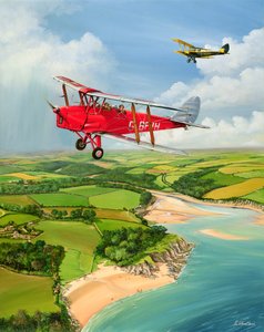 Mothecombe Moths, 1999